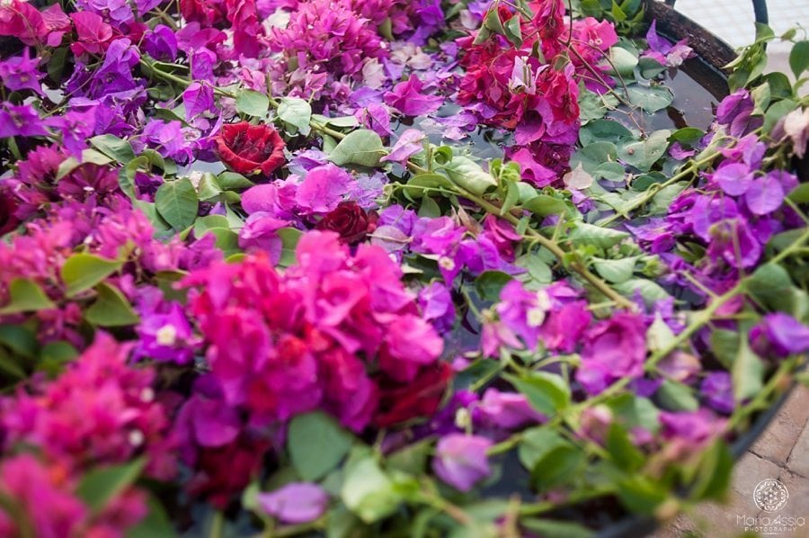 Fountain filled with Bougainvillea plant petals