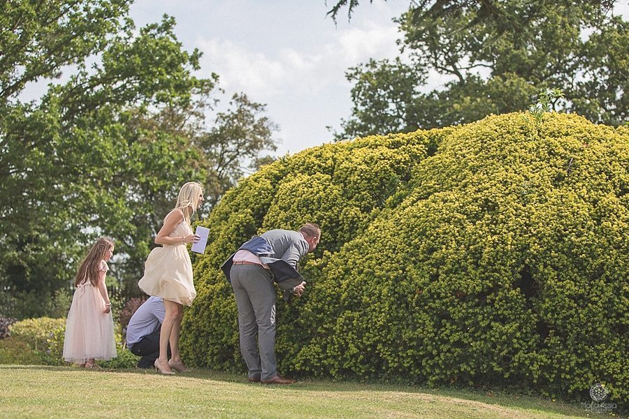 Guests looking into a bush