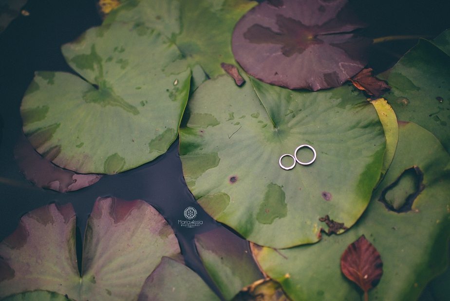 Rings lying on lilly pads at Caswell House