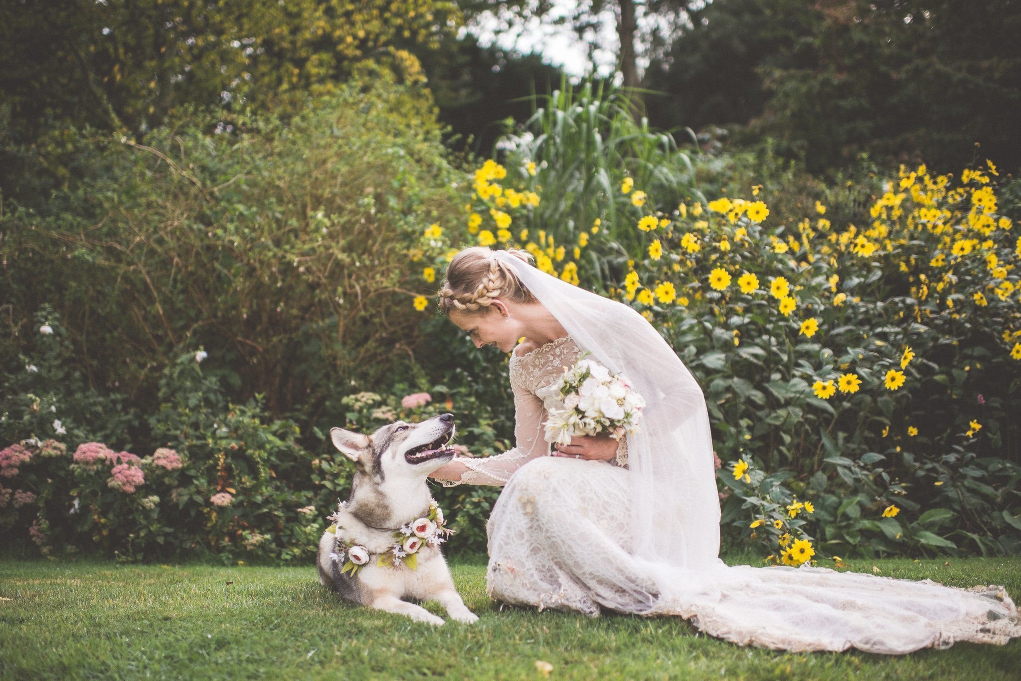 Bride stokes with her dog that wears a floral collar to match her bouquet