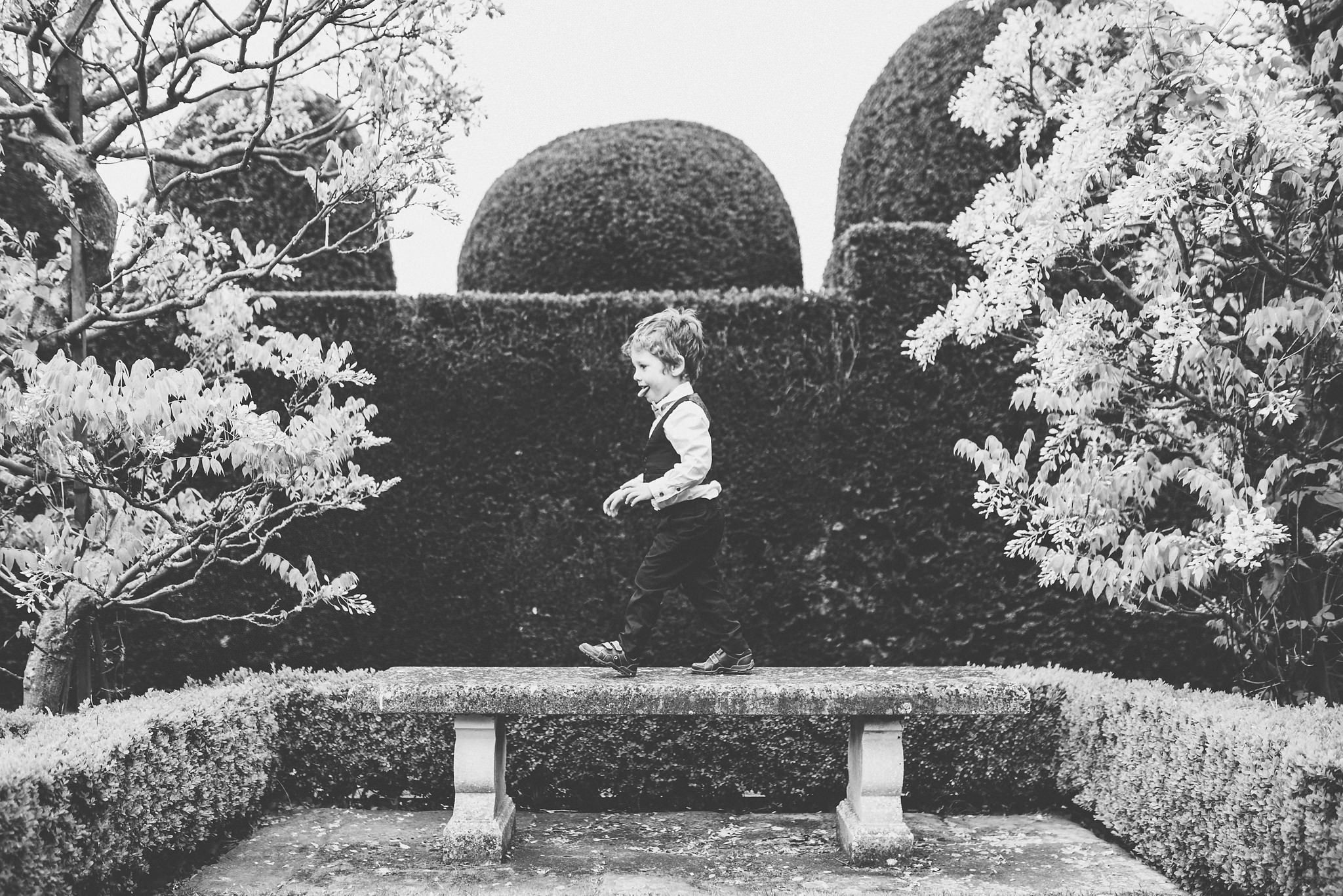 Boy playing in the Birtsmorton Court hedge maze