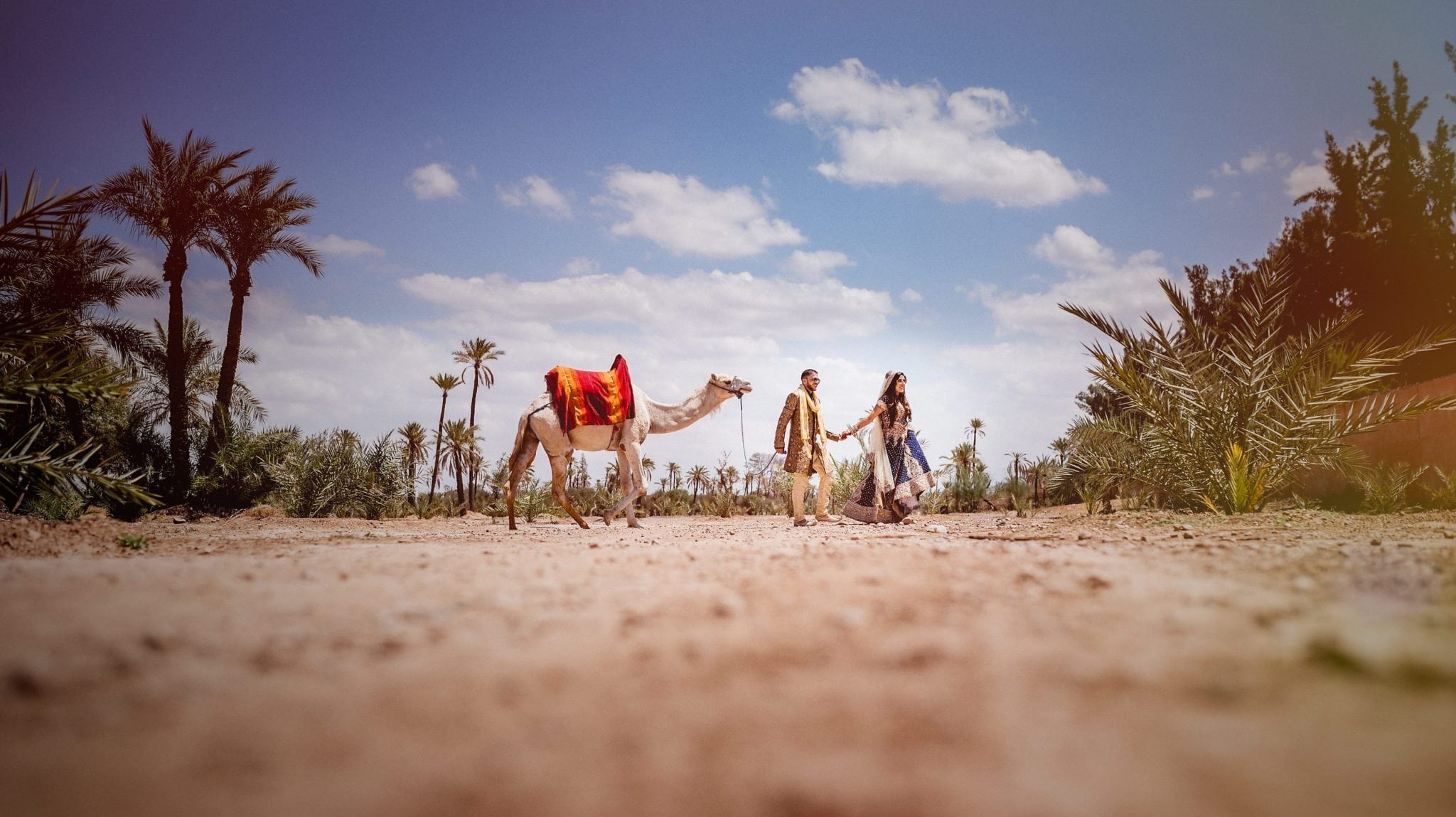 Bride leading her groom through the Sahara Desert in Morocco with a camel | Start Wedding Planning for a desert destination wedding