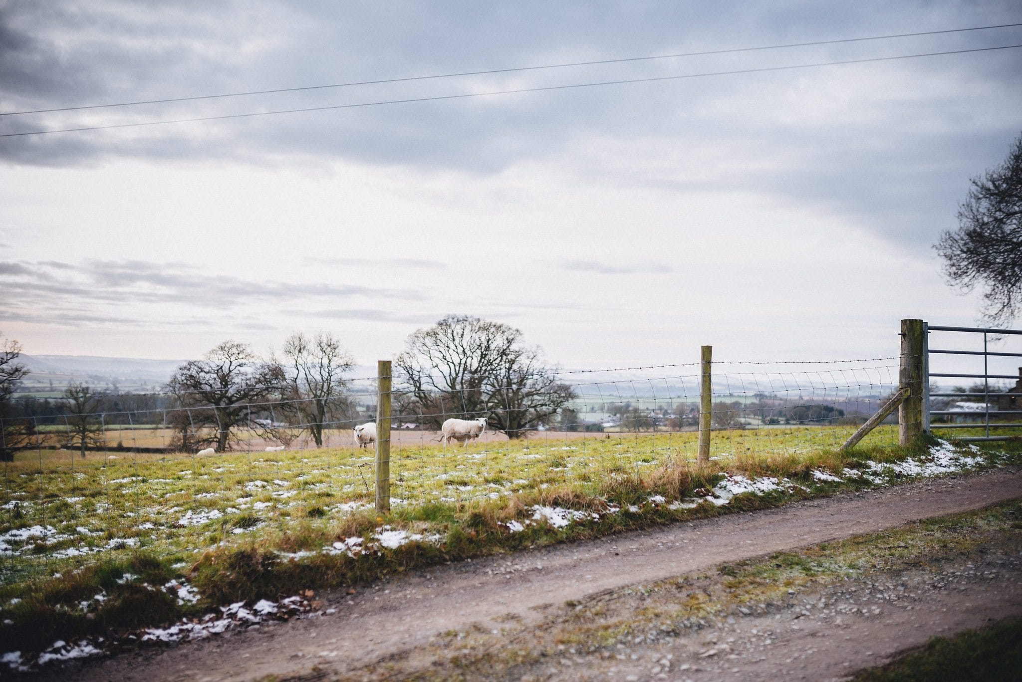Patches of snow and ice on the ground in the fields for this December wedding