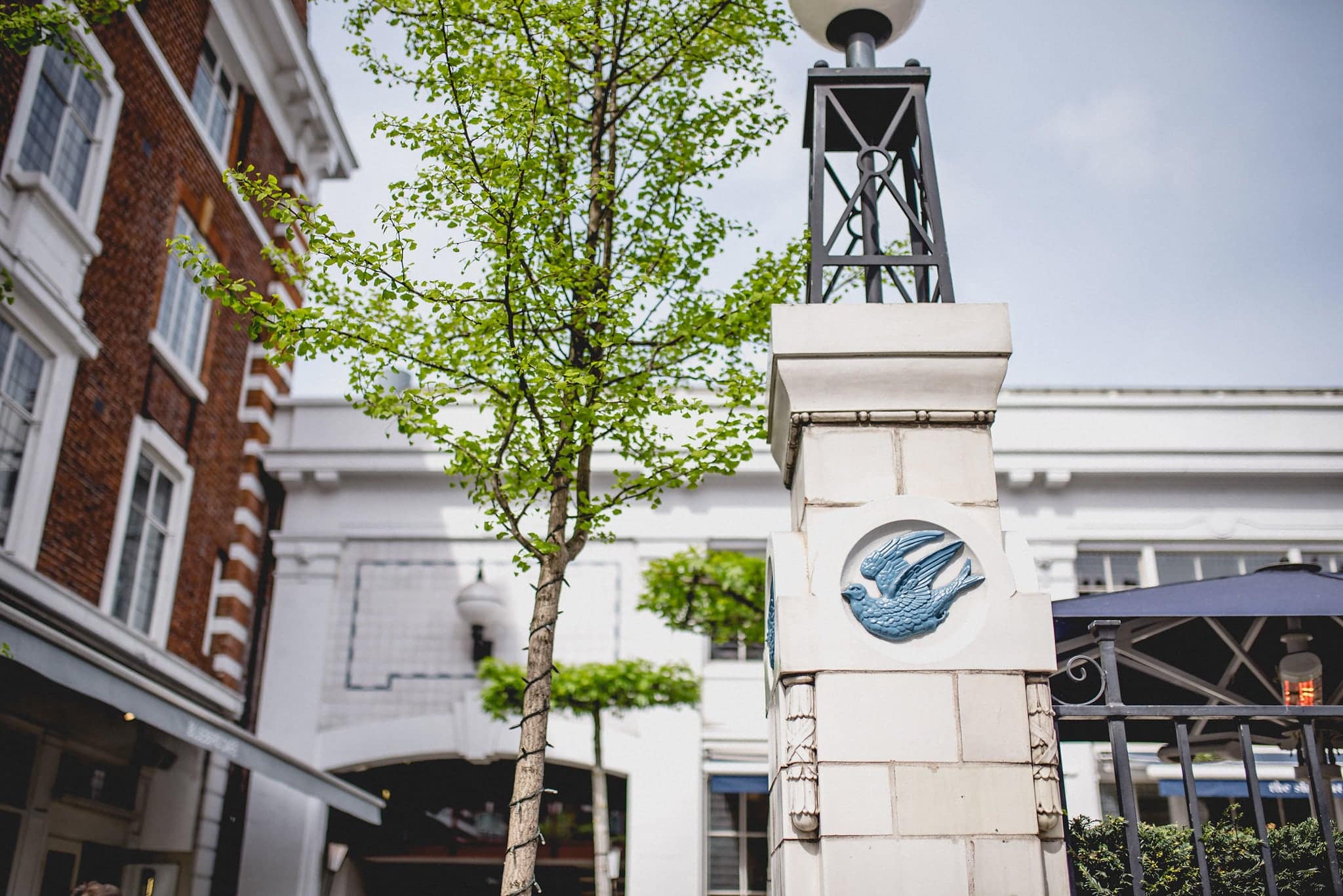 Exterior shot of The Bluebird, Chelsea