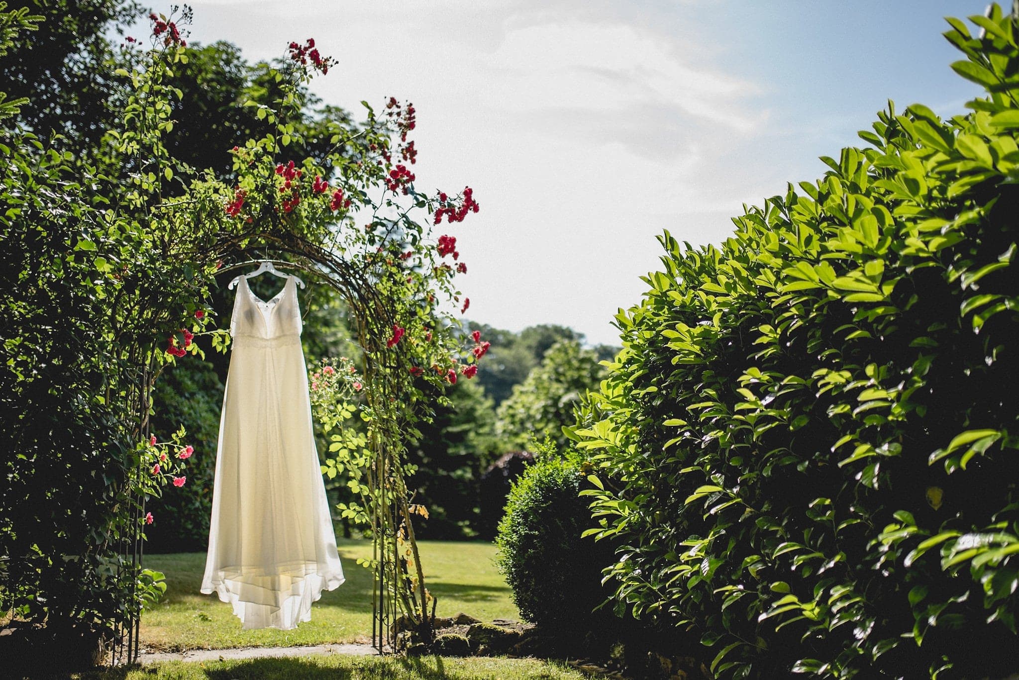 Sunlit wedding dress hanging in a rose arch