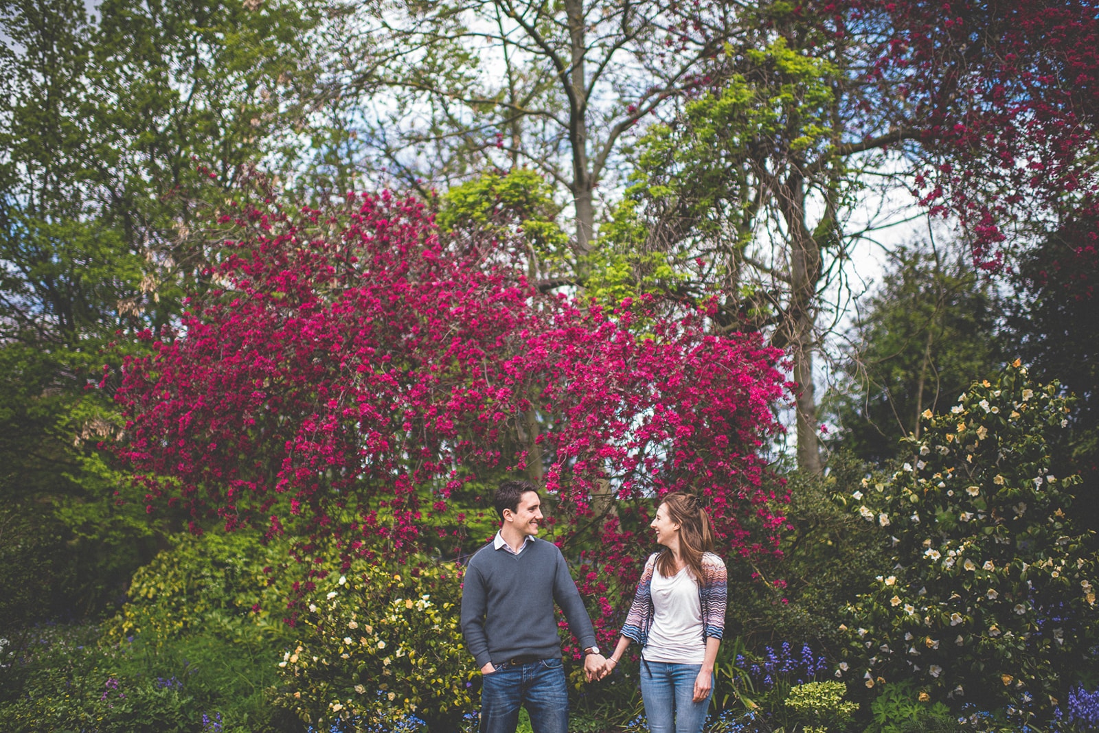 Engaged Couple standing hot pink cherry blossom at the Hurlingham Club