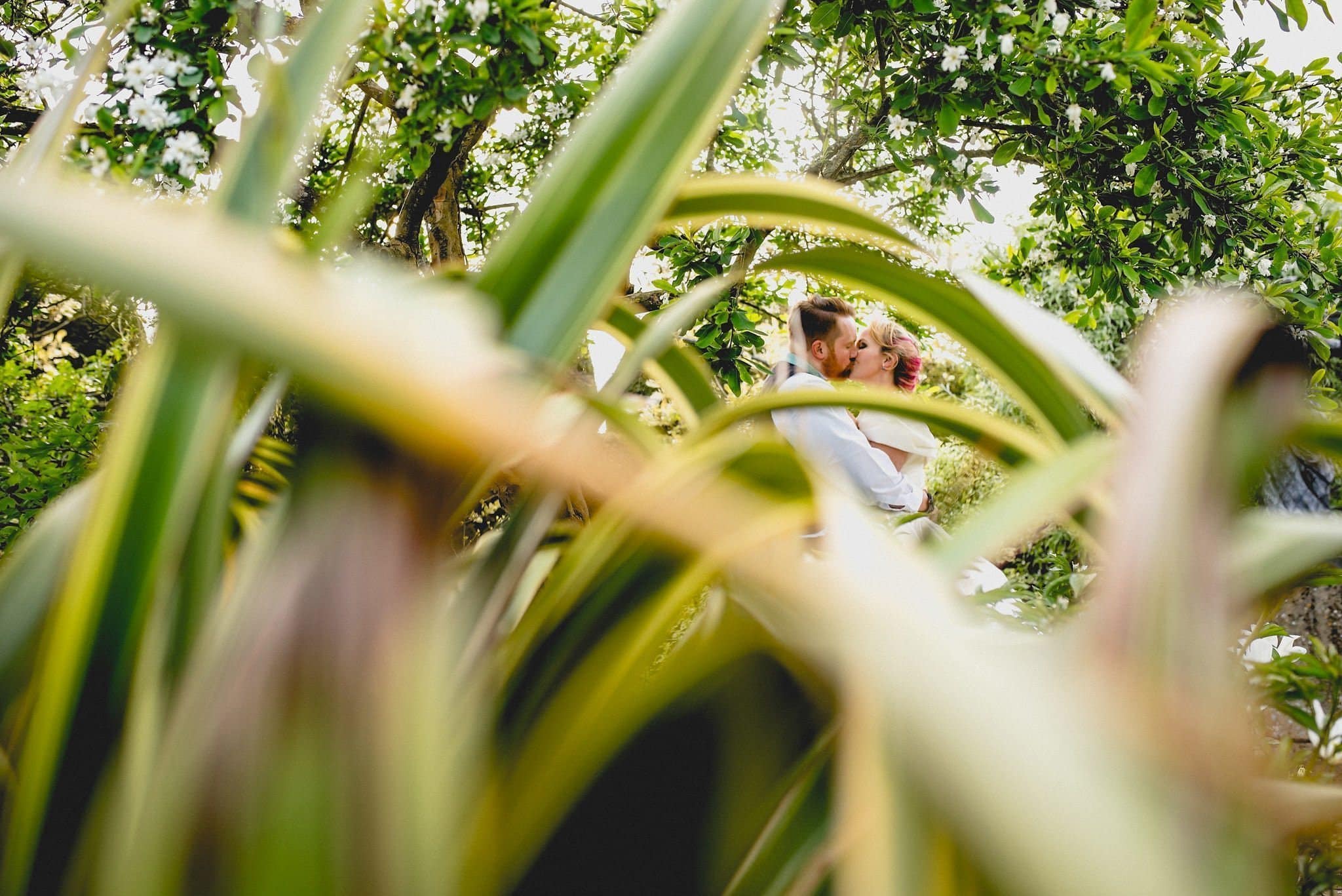 Bride and groom kiss seen through leaves in the grounds of Birtsmorton Court